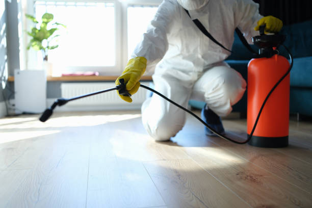 Reliable Odor Removal contractor in Voluntown, CT by Trauma Clean Pros